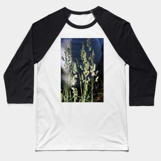 Grass seed Baseball T-Shirt